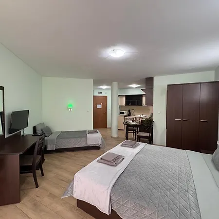 Sun Palace Apartman *